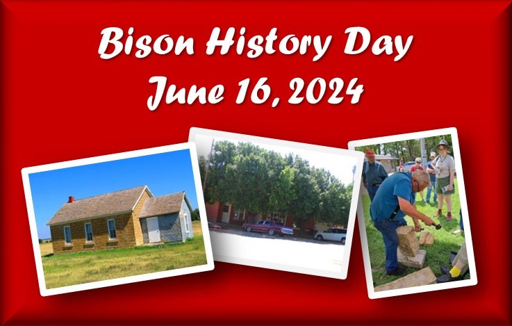 Bison History Day